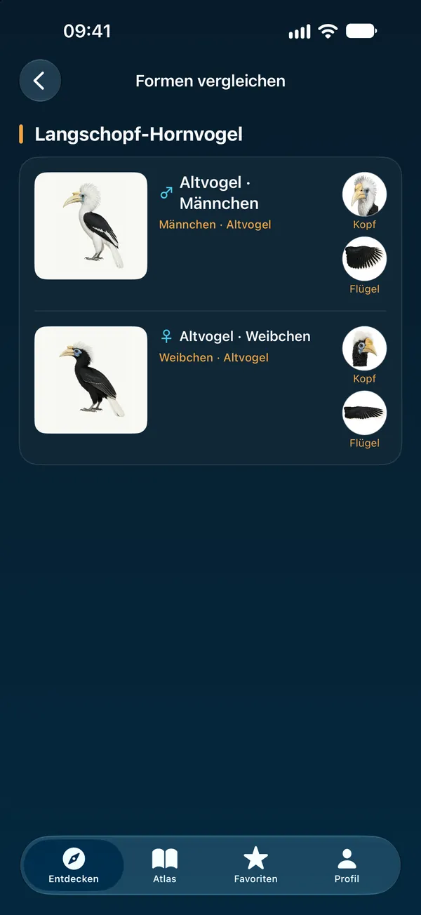 Formen vergleichen
