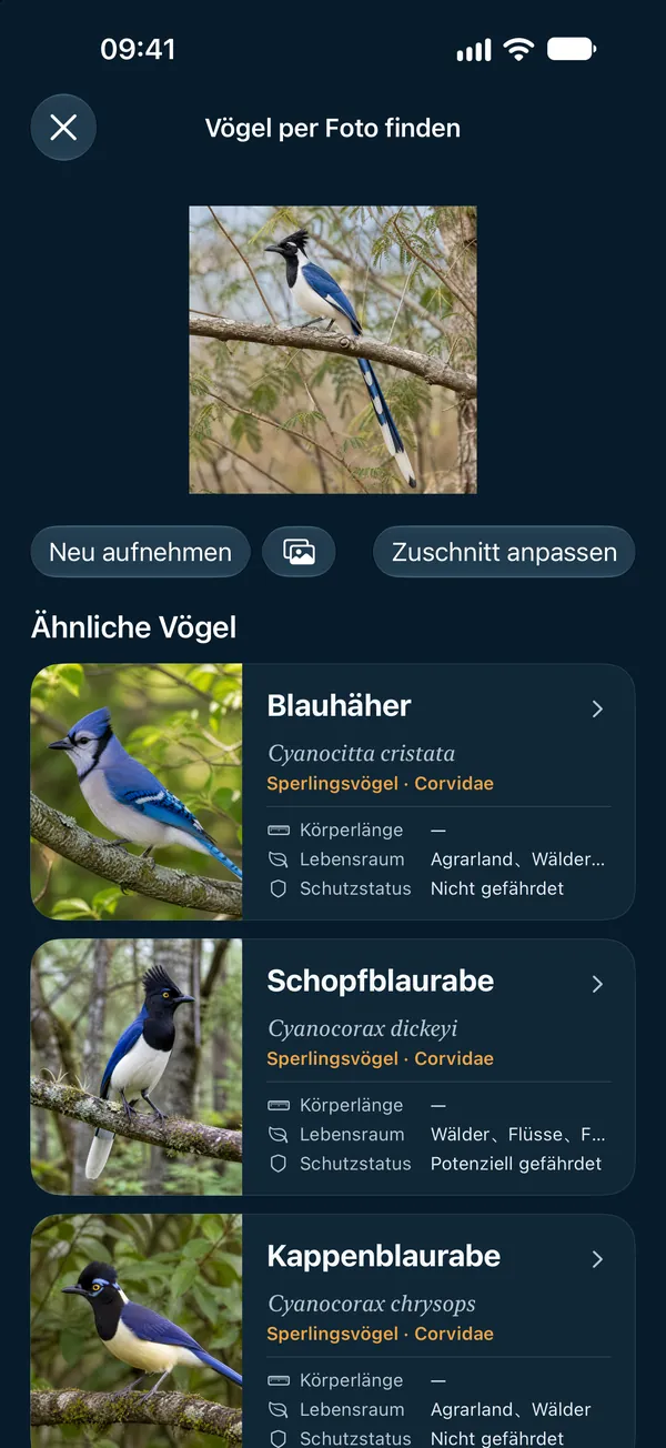Vögel per Foto finden