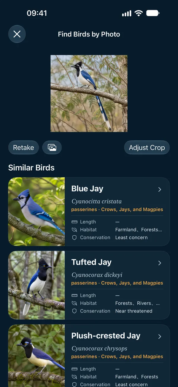 Find Birds by Photo