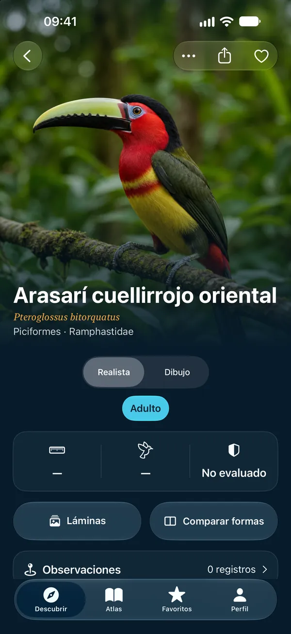 Realista