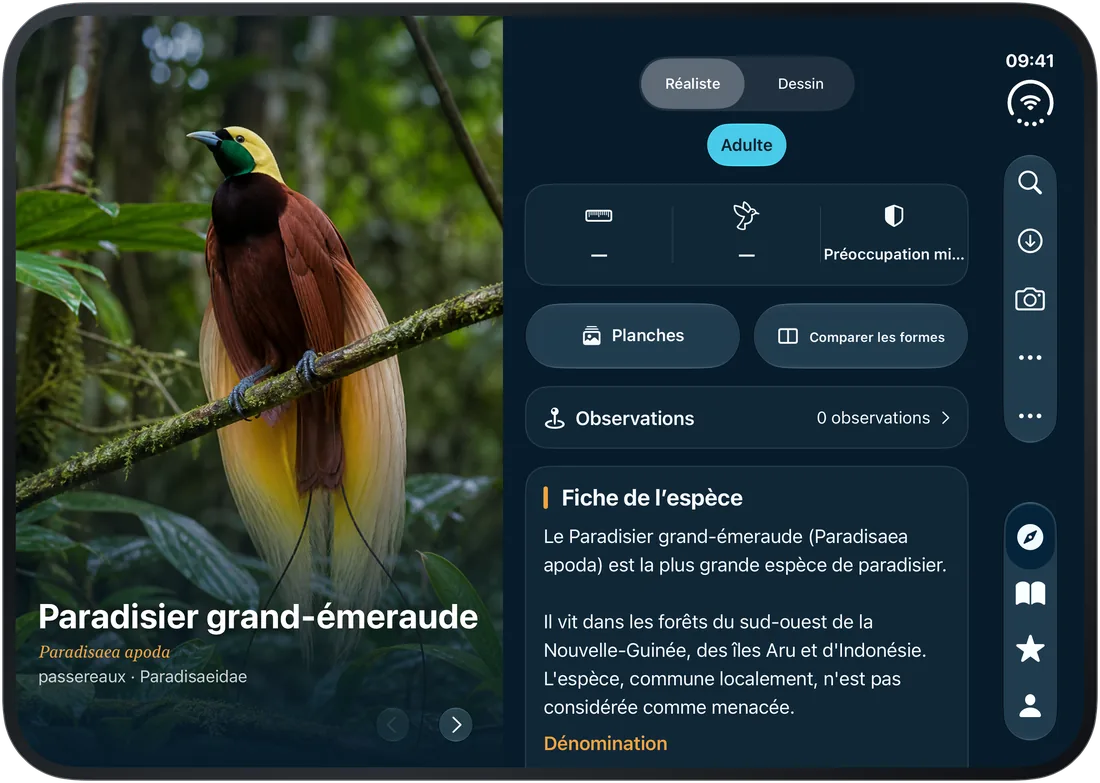 iPhone Duo · Déplié : l’oiseau à gauche, la fiche à droite