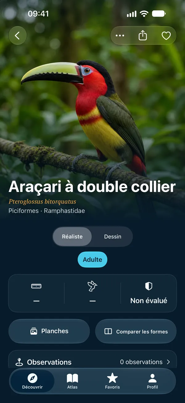 Réaliste