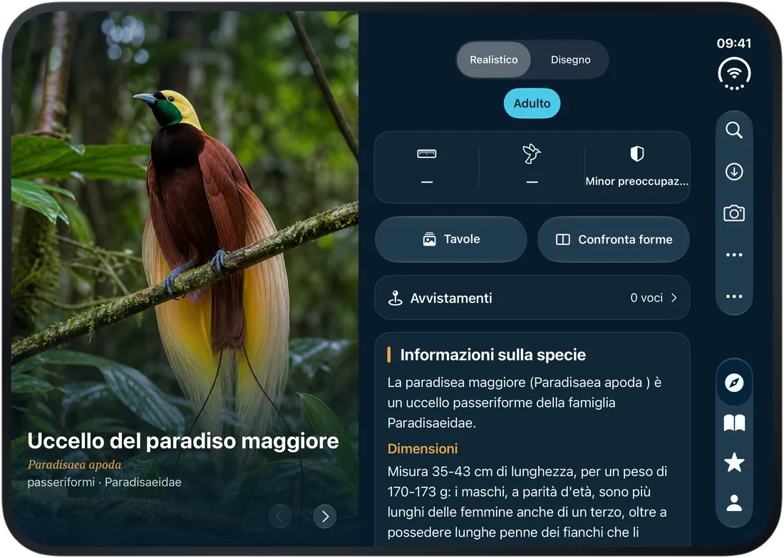 iPhone Duo · Aperto: l’uccello a sinistra, la scheda a destra