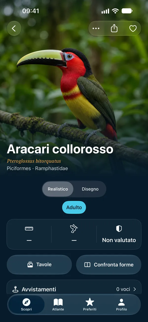 Realistico