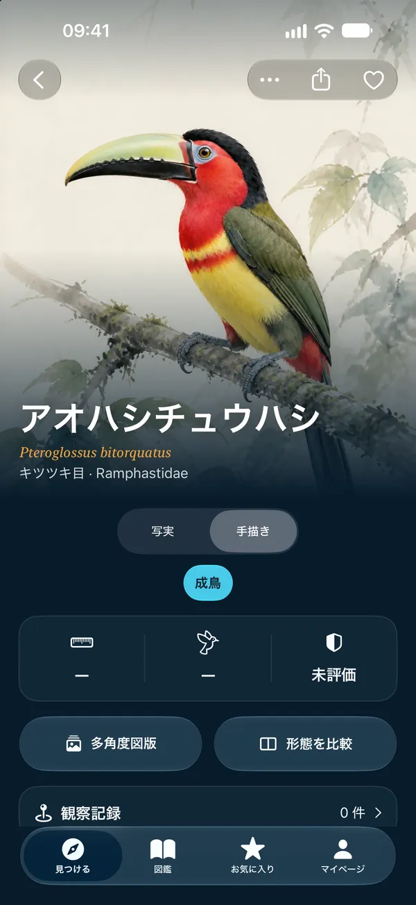 手描き