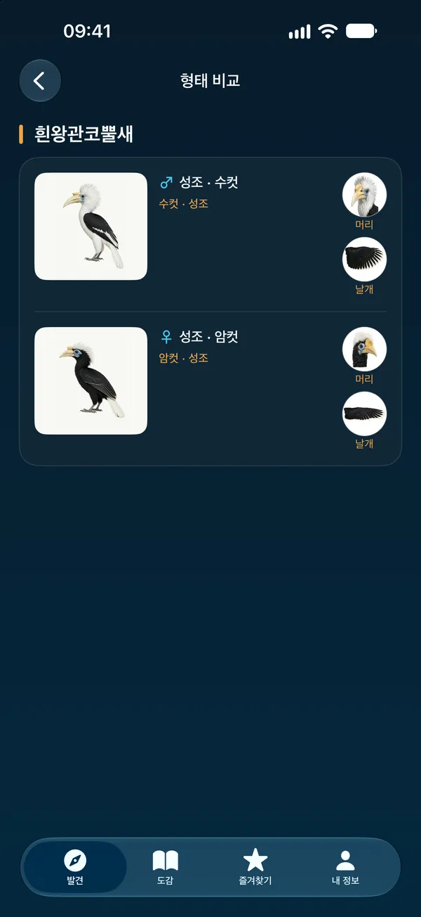 형태 비교