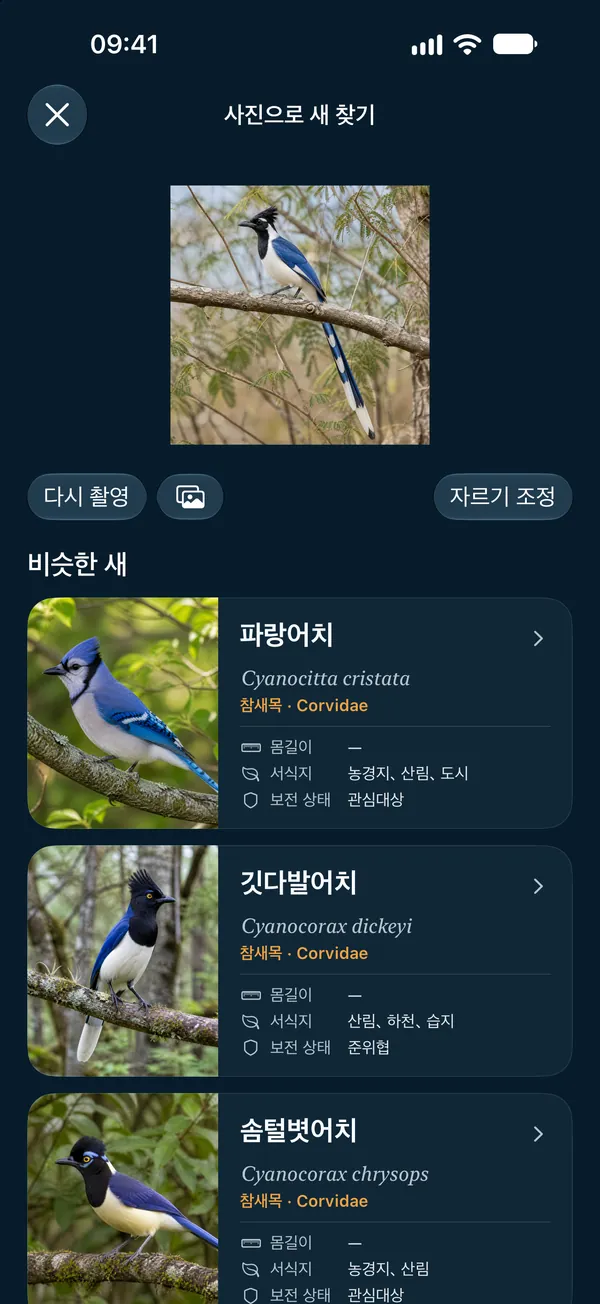 사진으로 새 찾기