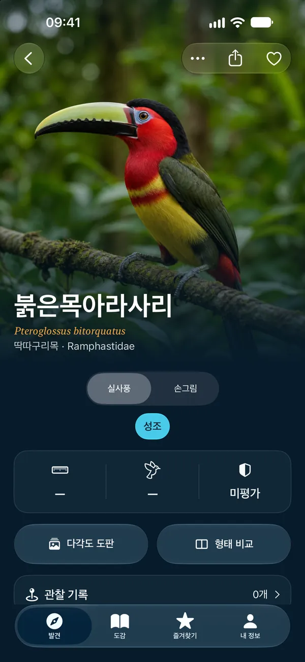 실사풍