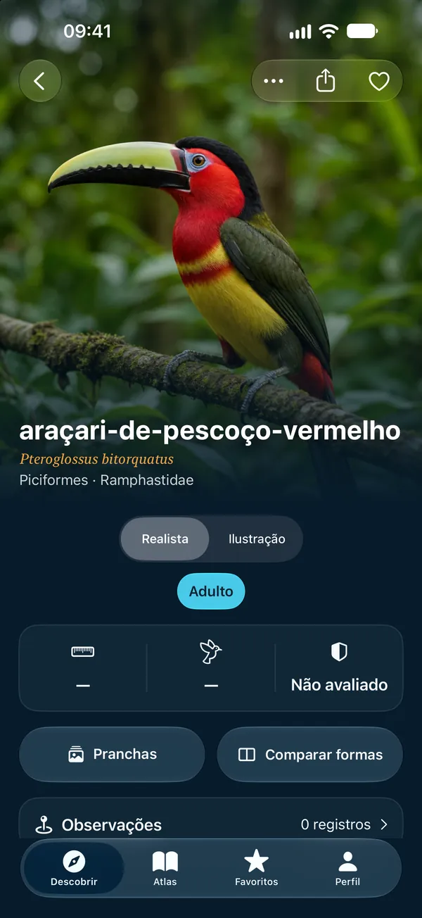 Realista