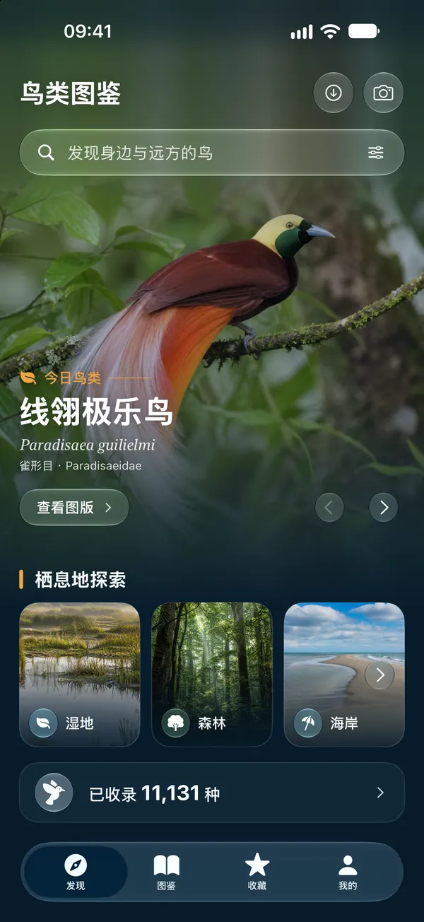 iPhone · 随身的鸟类图鉴
