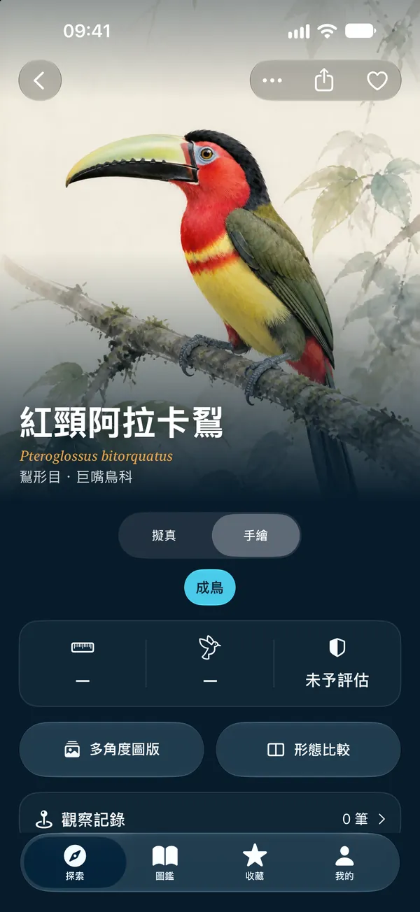 手繪